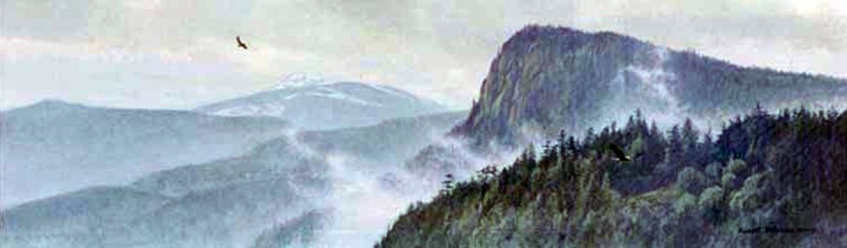 Thinking Like a Mountain